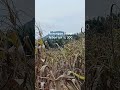 kadang wong sugeh macak kere ,,, tapi wong kere macak sok sok an sugeh akeh ,,, opo ra sadar