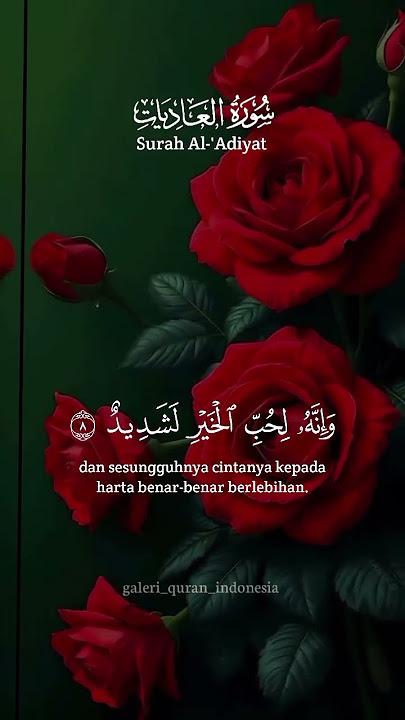 https://vt.tiktok.com/ZSBG3g6KY/