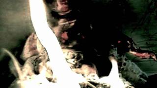 Locust Toybox - Poppers