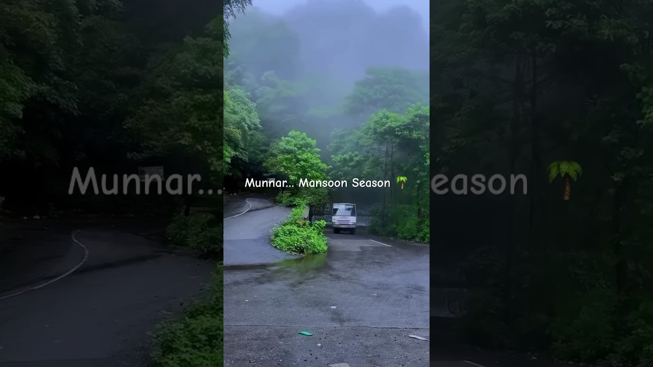 Munnar 🌴 Mansoon Season 🌧️ 