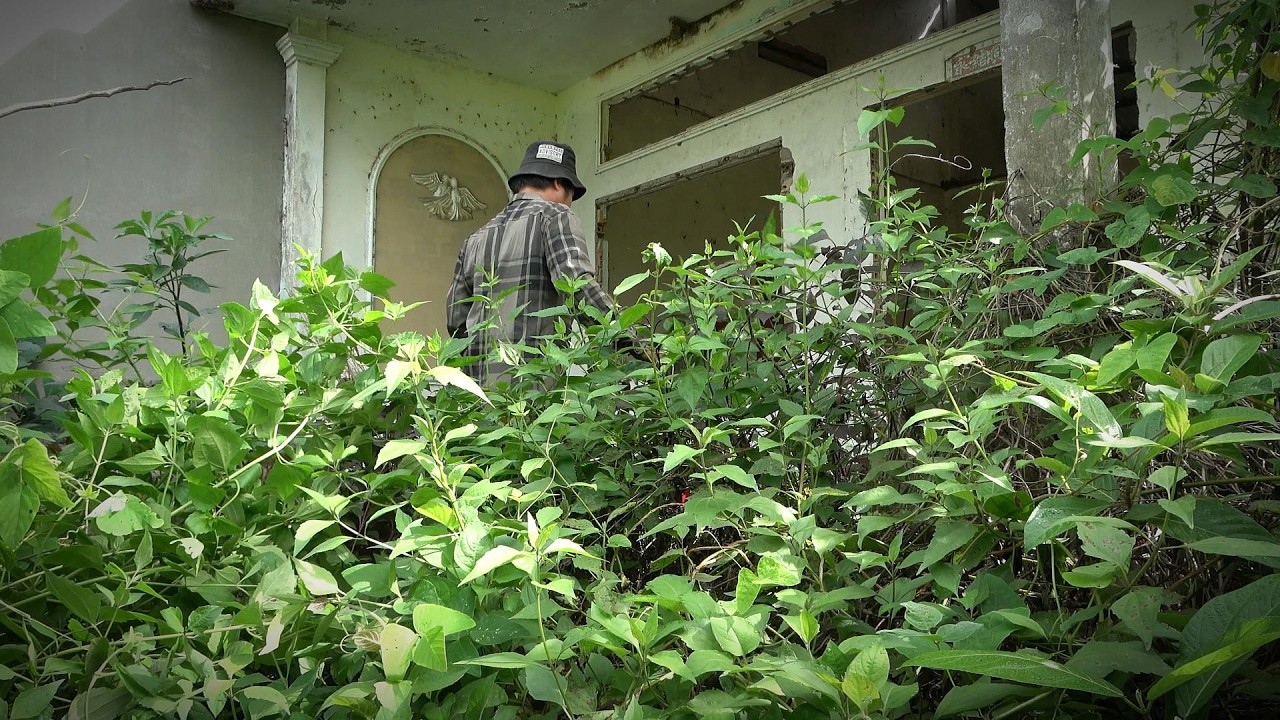 Женщина плакала, когда увидела дом после 10 лет отсутствия дома, и мы сотворили чудо