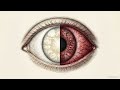 115 Personal Care The Fragile Machinery of Perception mp4