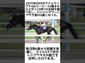 G1までアタマ差！マジックサンズの雑学5選 #1分雑学 #競馬 #shorts #馬 #マジックサンズ