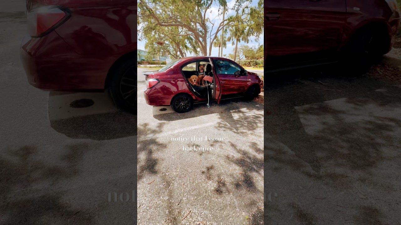 Why the wait command is so important!