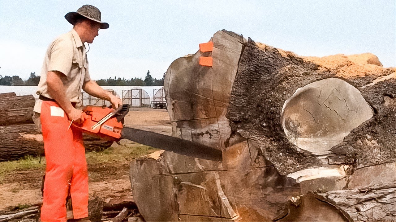 Incredible Wood Manufacturing And Ingenious Workers That You Should To