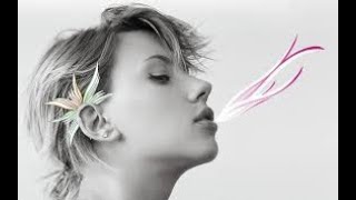 Kraftwerk - Autobahn Dj Francuz Mix