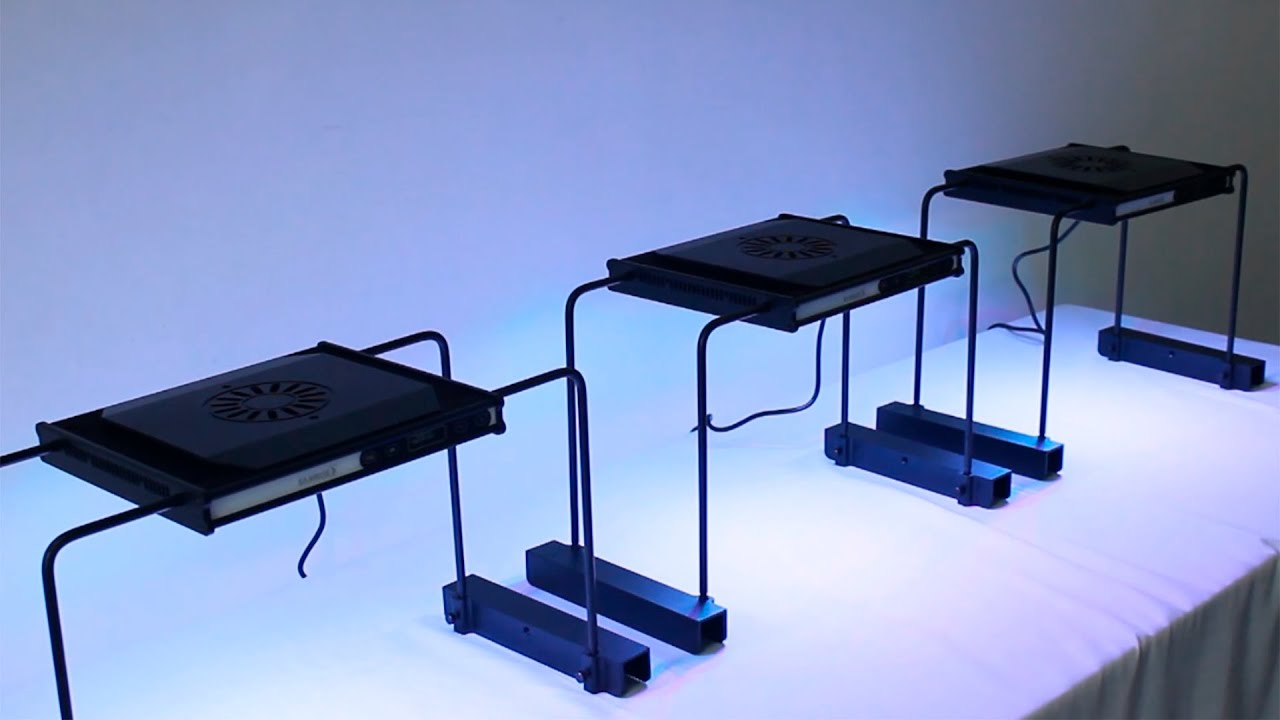 How to connect and control multiple lamps-Aqua Sanrise Plus LED Aquarium light