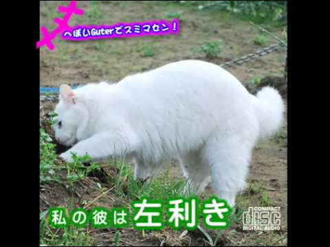 「私の彼は左利き」を唄ってみた♪