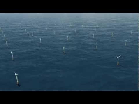 Video: BSH Breidt Vegetatiestudies Uit Tot In De Noordzee