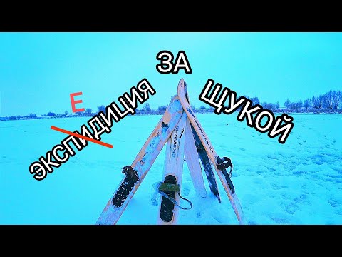 Душевная рыбалка 2024 в компании друзей! Щука на жерлицы в конце января. Поход на лыжах