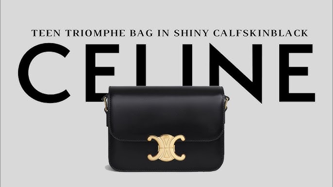 Is the Celine mini vertical cabas bag worth the 💰?, Video published by  cora🤍