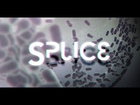 Indie Ultra 64: Splice Review - SuitlessRun
