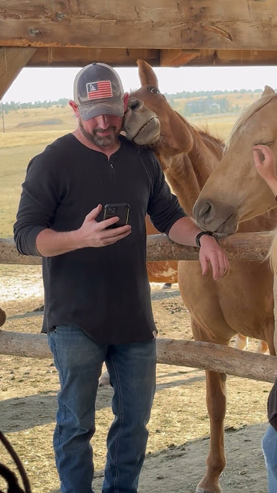 Goofy Horse Photobombs Commercial Filming || ViralHog