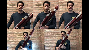 disco yes bassoon cover