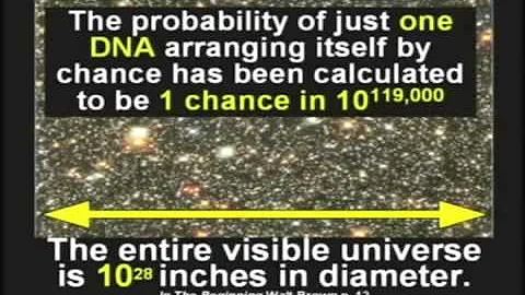 "Why Evolution Is False"