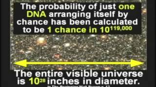 Why Evolution Is False