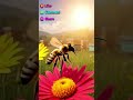 Hardworking bee 🐝