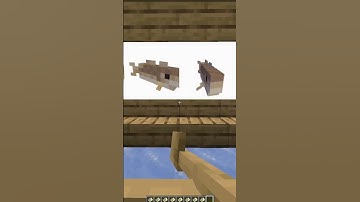 Thumbnail of Minecraft Funky Town Spinning Fish 😬 #Shorts