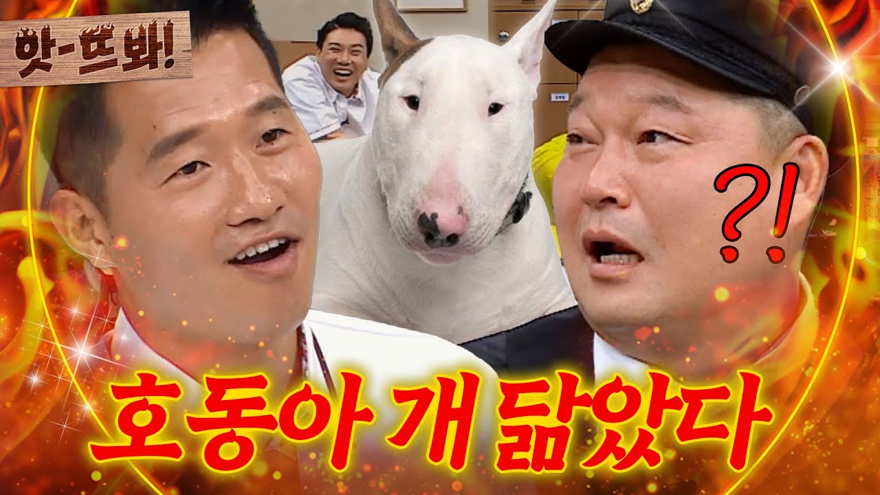 앗! 호동아 너 개 닮았다!🐶 강형욱이 찾아낸 형님들 닮은꼴ㅋㅋㅋ｜아는 형님｜JTBC 190824 방송