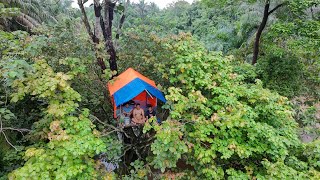 Diguyur Hujan Deras Bermalam Di Rumah Pohon Disaat Sungai Banjir Tidur Nyenyak Sdanai Pagi