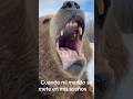 Así me saca del #sueño mi #esposo con sus #ronquidos (el sonido es real)