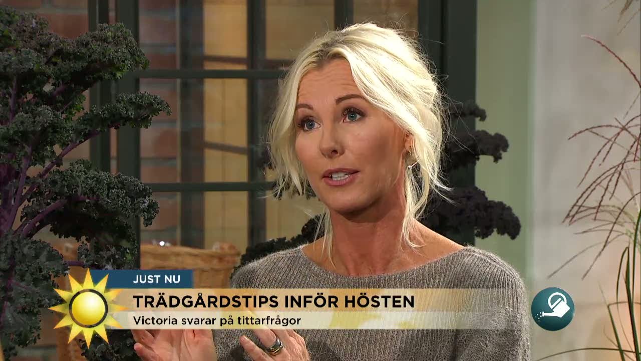 Victoria Skoglund: ”Kål är underskattat” - Nyhetsmorgon (TV4) - YouTube