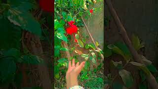 #subscribe#creativity#hand creation#in trending song#in Tamil song