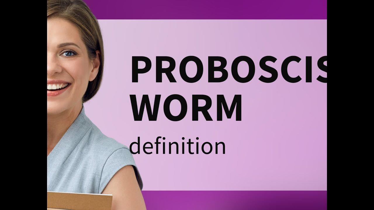 Proboscis worm — definition of PROBOSCIS WORM YouTube