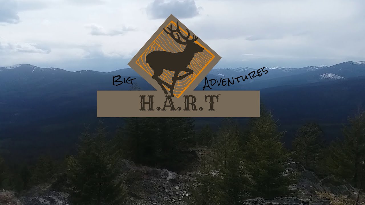 Ross Hammock Ranch Inglis, Florida YouTube