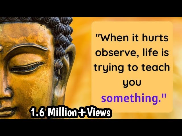 Top 30 buddha quotes on life that can teach beautiful life lessons - YouTube