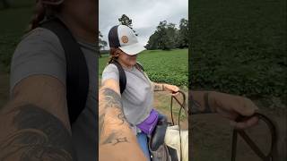 Beautiful Lady On Horse