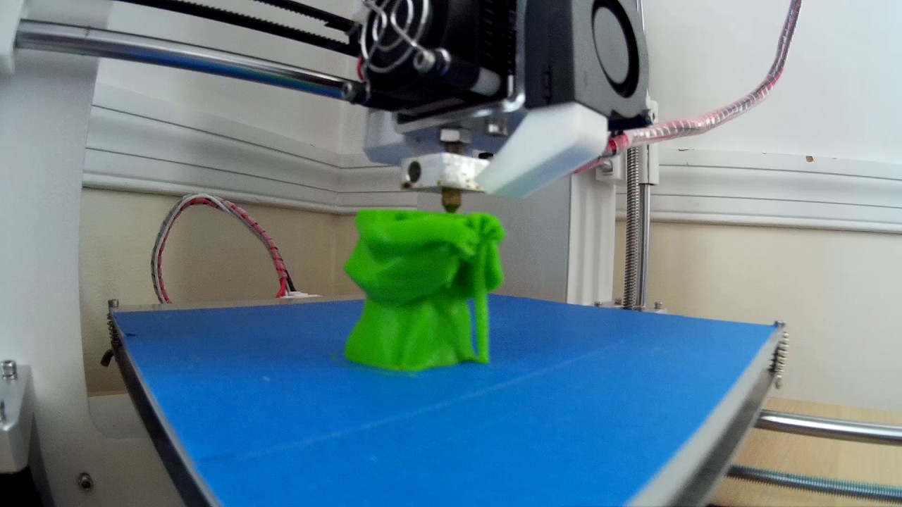 Printing 3D Printing time laps from custom printer.