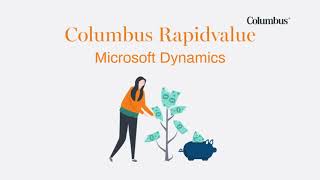 Hva er RapidValue