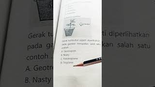 OSN IPA SD QUESTIONNAIRE