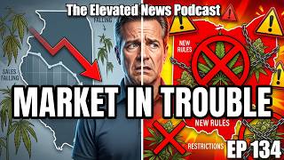 Illinois Cannabis Sales DROP Again | Ohio Cracks Down HARD screenshot 4