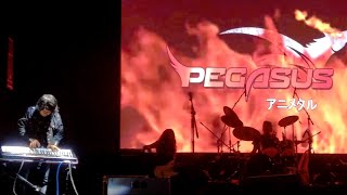 Hoy les presentamos a la Increíble Banda Pegasus アニメタル en el D...