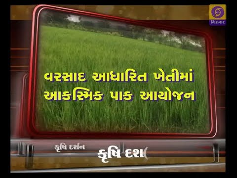 newspaper mockup KRISHI DARSHAN | Varsad Aadharit Khetima Aakasmik Pak Aayojan