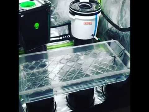 GT 424 NFT  GroTank close up - Hg Hydroponics - YouTube HGhydroponics