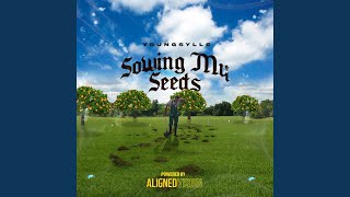 Sowing My Seeds