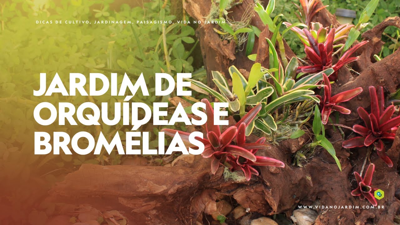 TRANSFORMEI uma RAIZ de ÁRVORE em um JARDIM COM ORQUÍDEAS e BROMÉLIAS