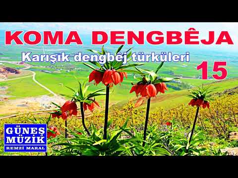 KOMA DENGBEJA   15  , KARIŞIK DENGBEJ TÜRKÜLERİ