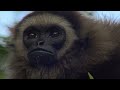 The Weird & Wonderful Wildlife of the Equator