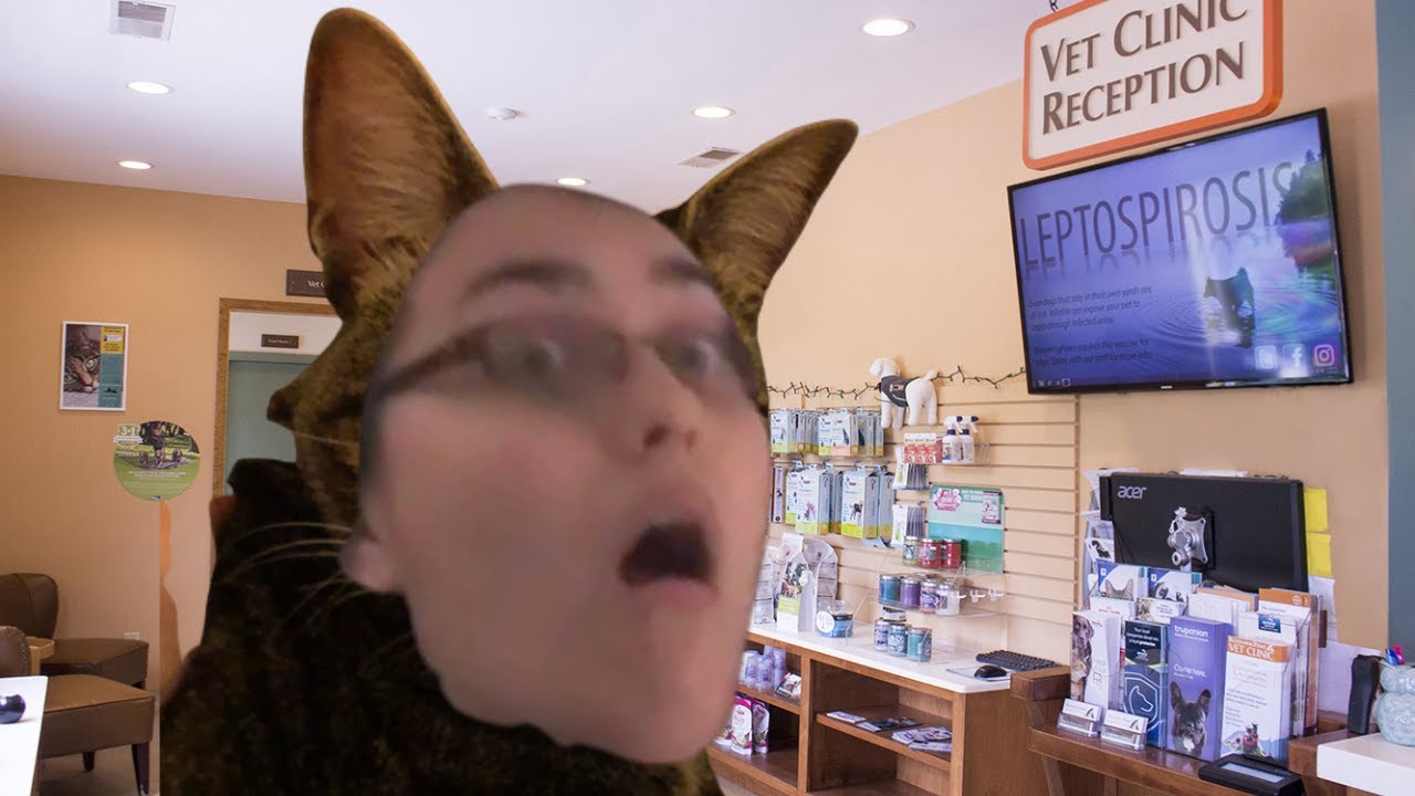 This story about Jasper's vet visit SOUNDS A LOT LIKE Leanna's hospital story