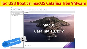 Tạo USB cài macOS Catalina 10.15.7 và cài mac OS trên máy ảo VMware