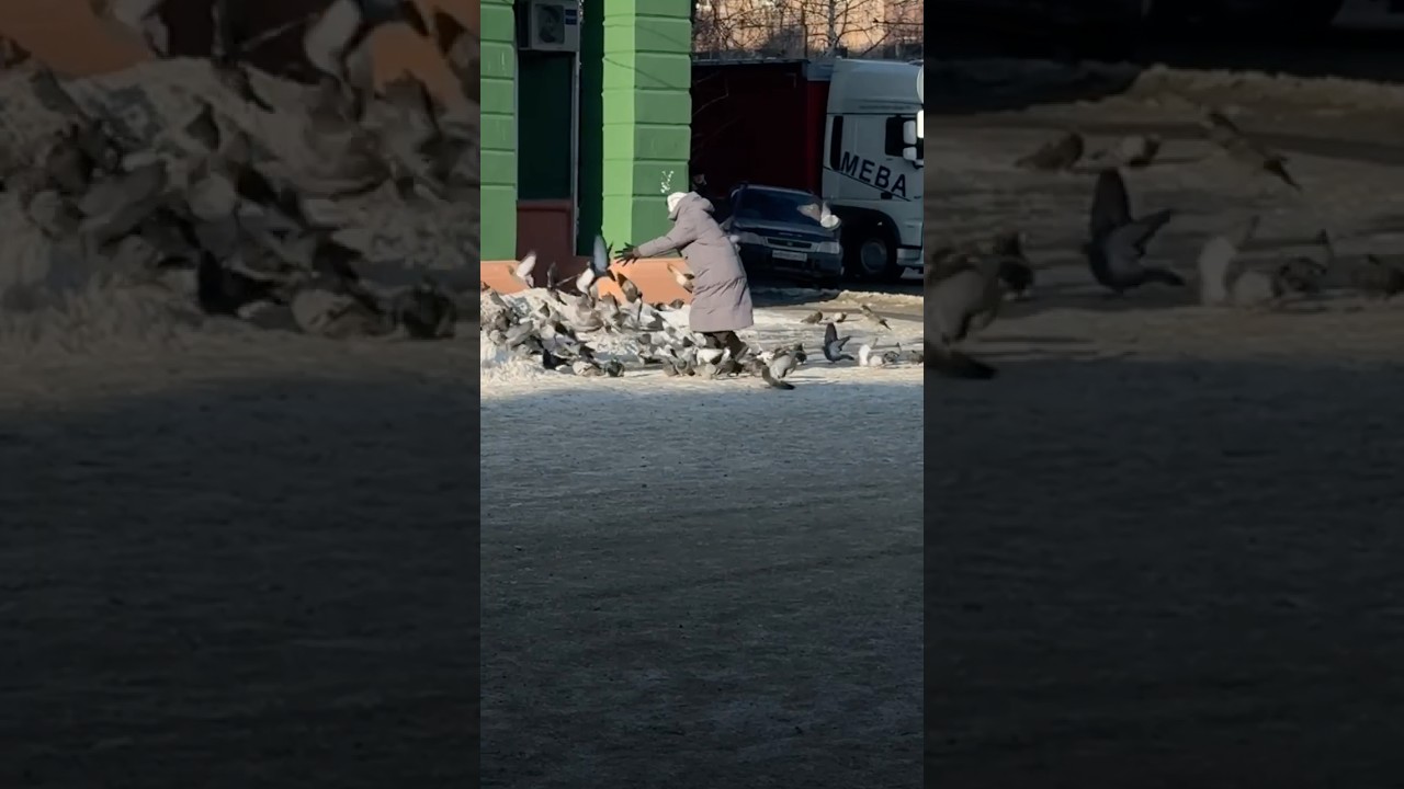 Работа смм-редакции, когда телеграм блокируют