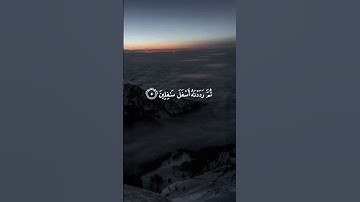 قرآن كريم سورة التين تلاوة ياسر الدوسري Quran Surah At-tin