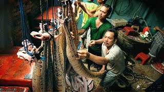 VietNam Farmer Raise Millions of SNAKE to Make Profit of 20 Million USD Every Year