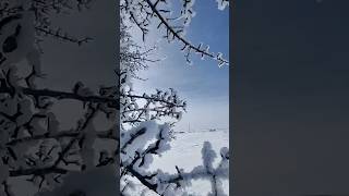 Küstüğüme Bakma Benim Ürkü Ürküler Ürkülerimiz Ürkhalkmüzigi Üzik