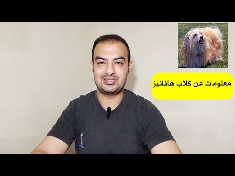 فيديو: 14 نصائح لسلامة المياه لحماية الكلب الخاص بك هذا الصيف