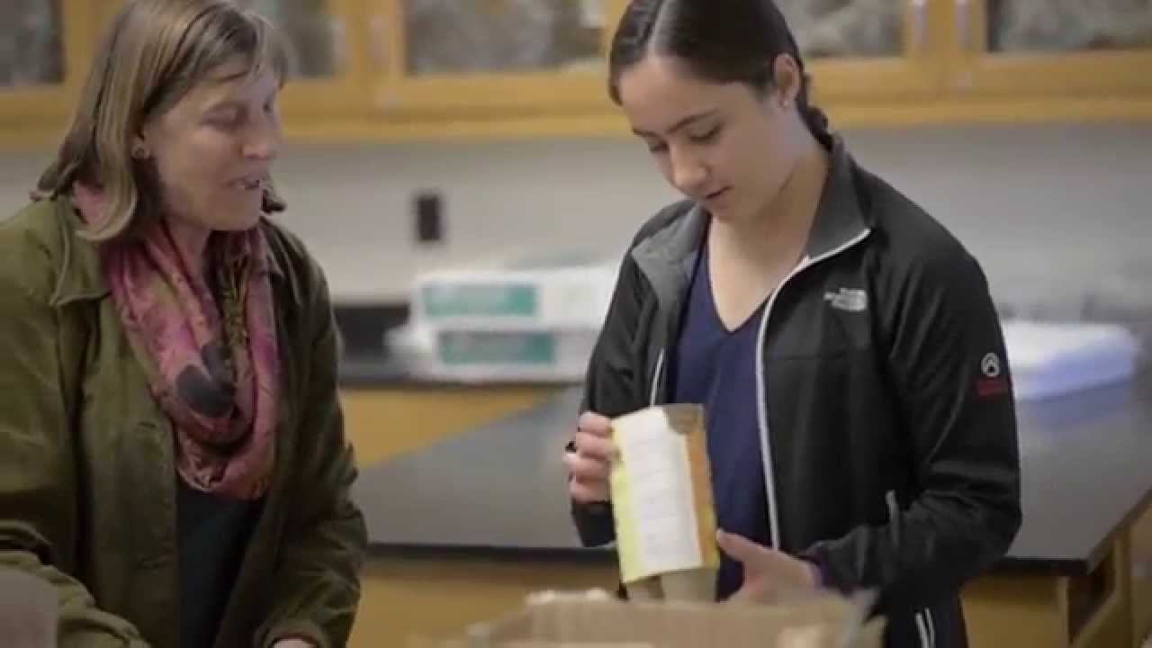 A Sustainability Minor Capstone Project: Aquaponics Across the Spectrum